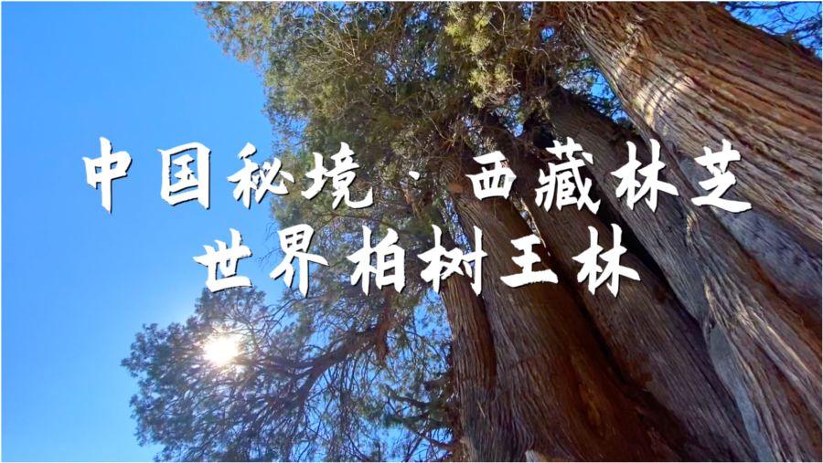 黑暗之魂